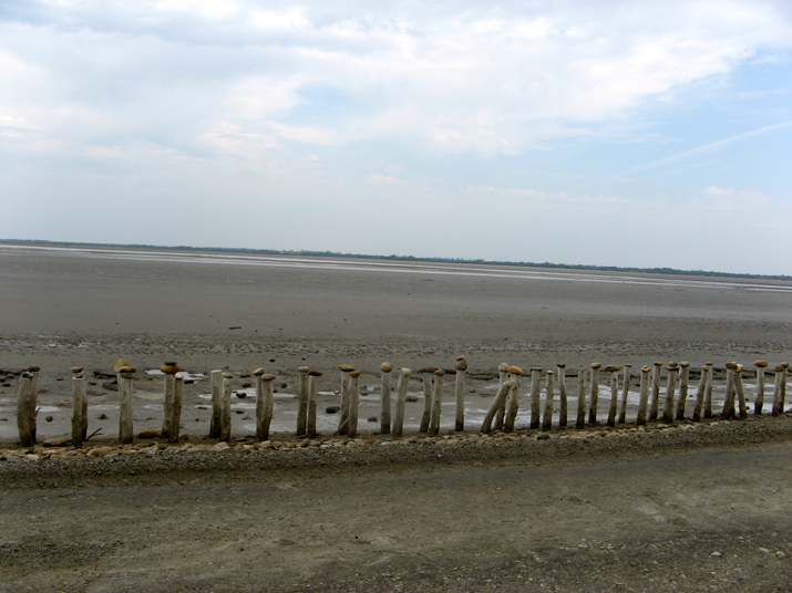 2007-07 Camargue 008.jpg